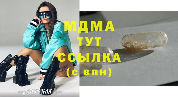 прущие грибы Слюдянка