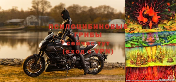 apvp Белокуриха
