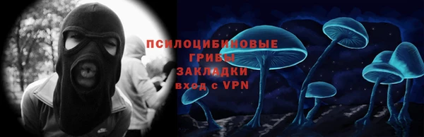 apvp Белокуриха