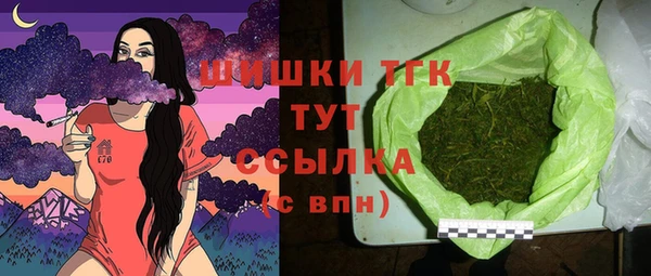 прущие грибы Слюдянка